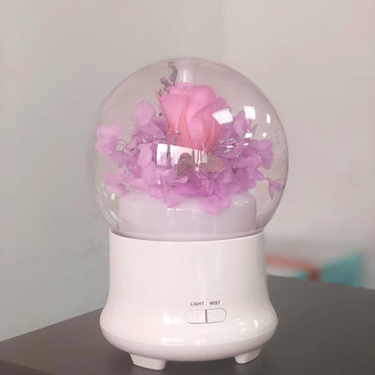 aromatherapy humidifier