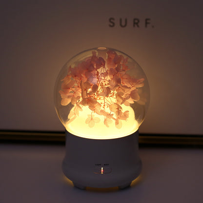aromatherapy humidifier