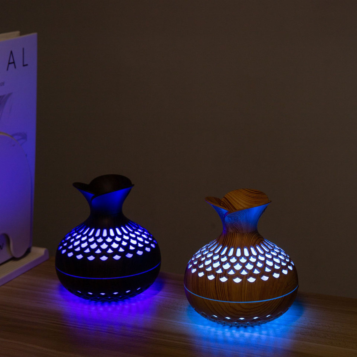 Aromatherapy Humidifier