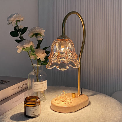 Aromatherapy lamp
