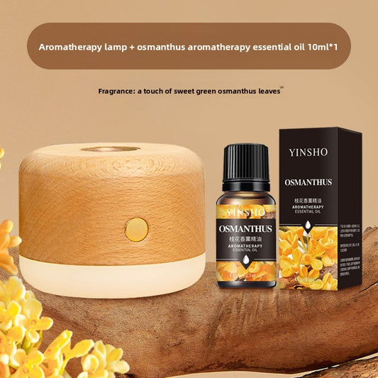 aromatherapy light
