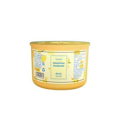 Aromatherapy Solid Air Freshener