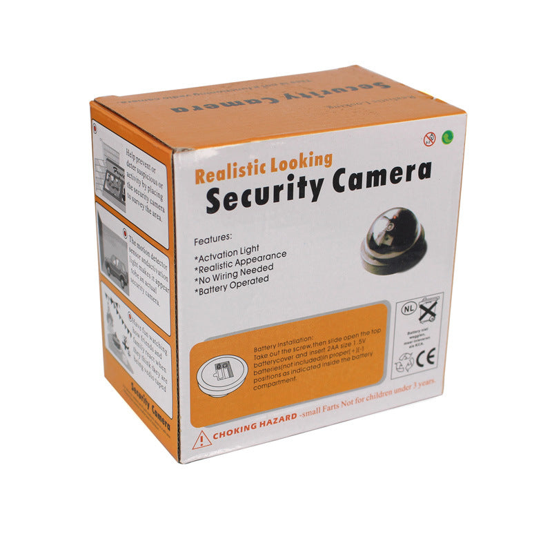 Artificial Camera