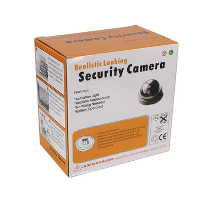 Artificial Camera