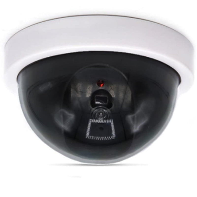 Artificial Camera