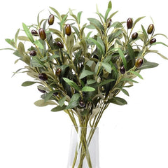 4-Prong Olive Branch