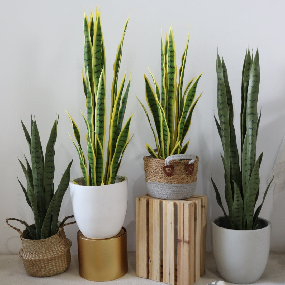 artificial plant