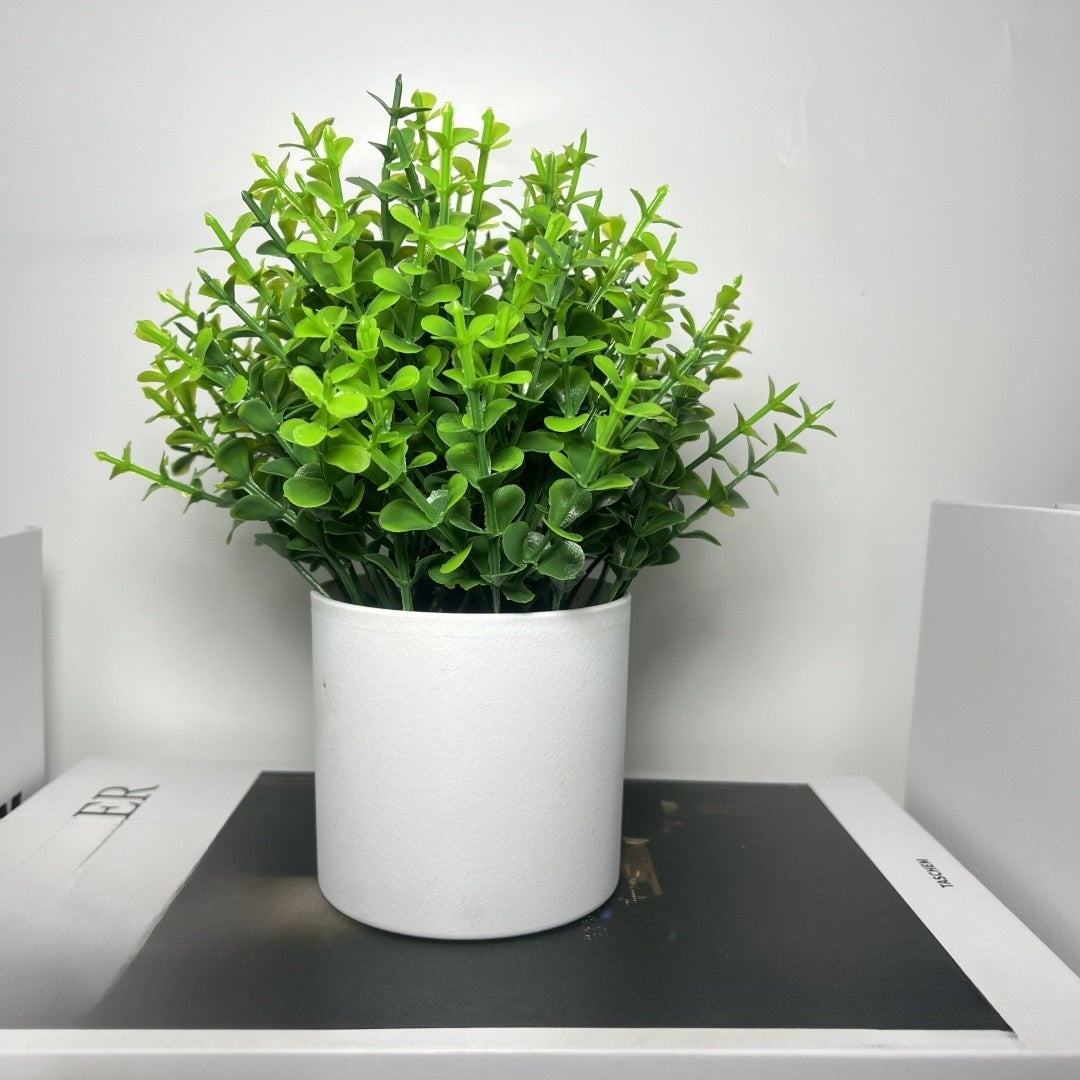 Artificial Plastic Potted Plants for Home Decoration