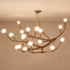 Log-colored branches 12 heads
