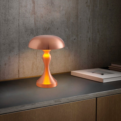 Atmosphere Night Light