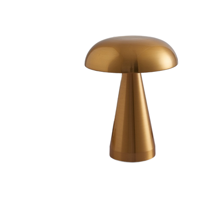 Atmosphere Night Light