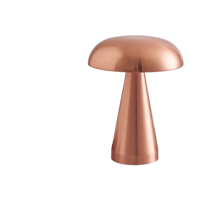 Atmosphere Night Light