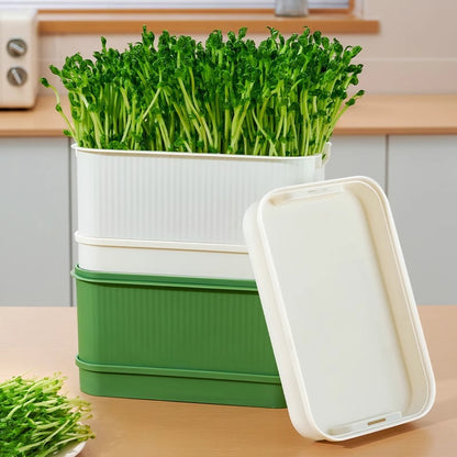 Automatic Bean Sprout Growing Container