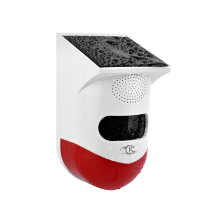 automatic burglar alarm