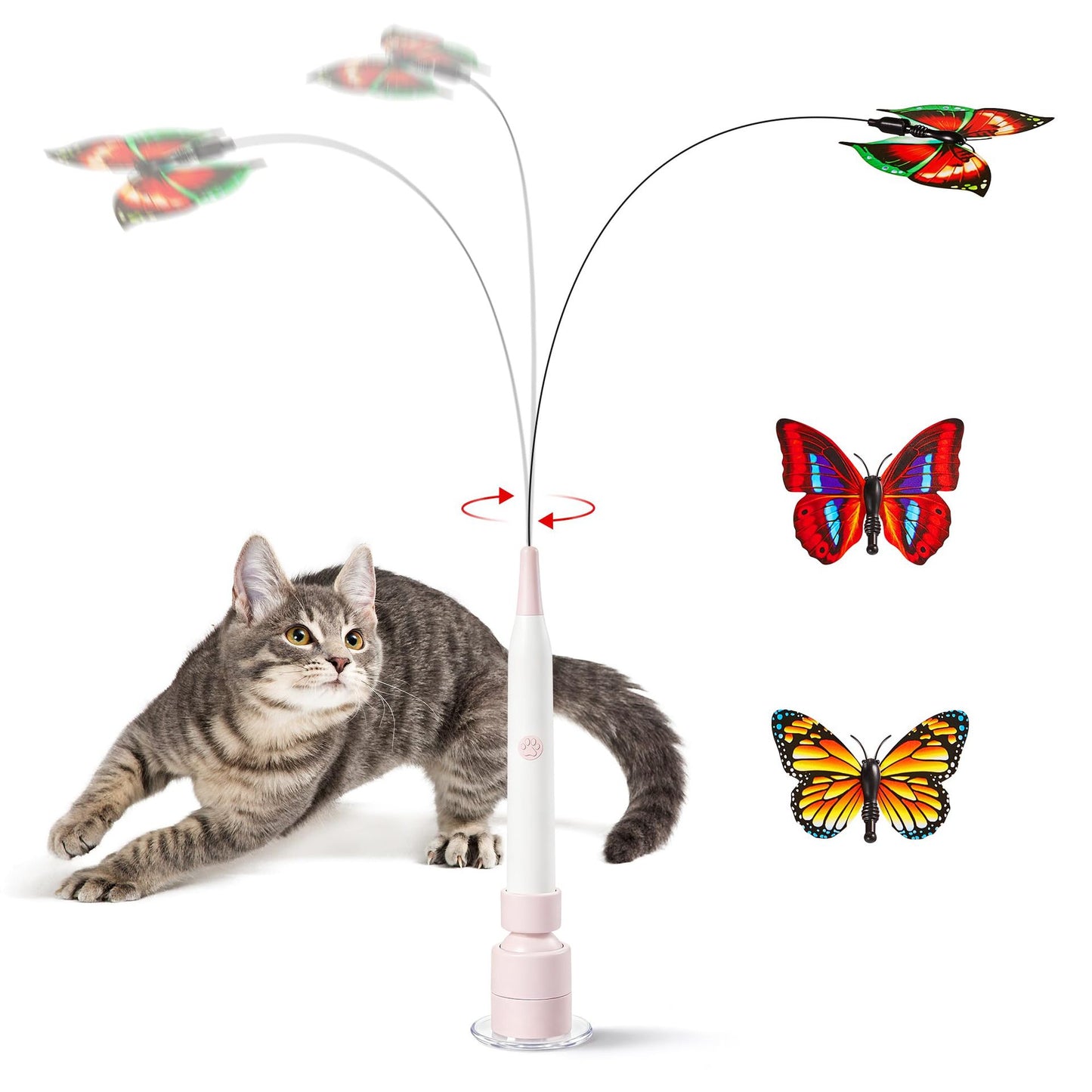 Automatic cat ball