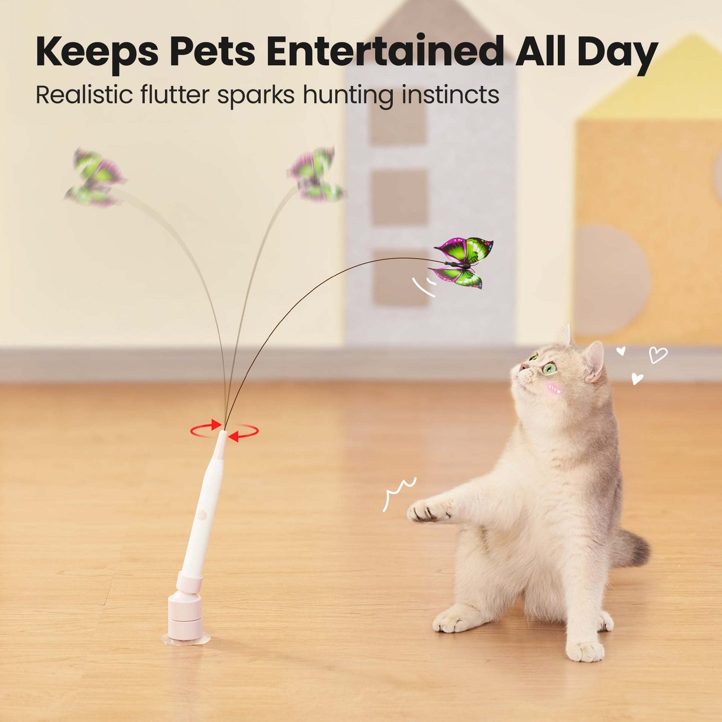 Automatic cat ball
