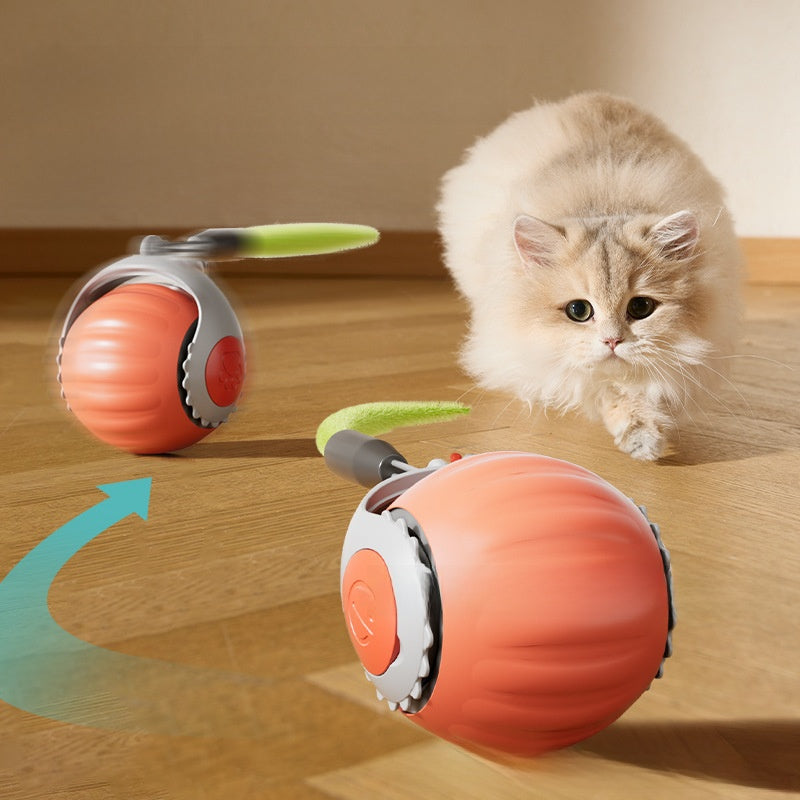 Automatic Cat Ball Shooter