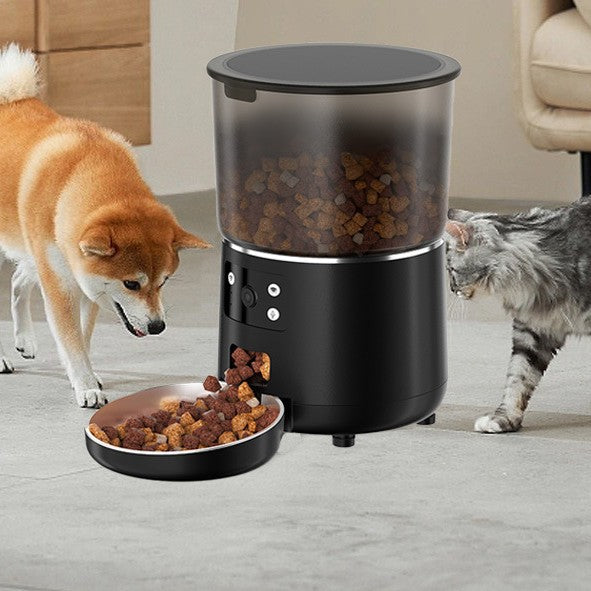 Automatic cat feeder