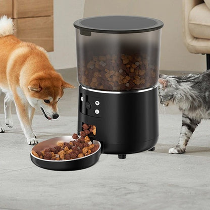 Automatic cat feeder