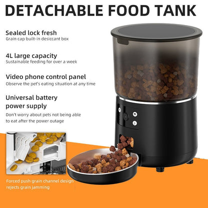 Automatic cat feeder