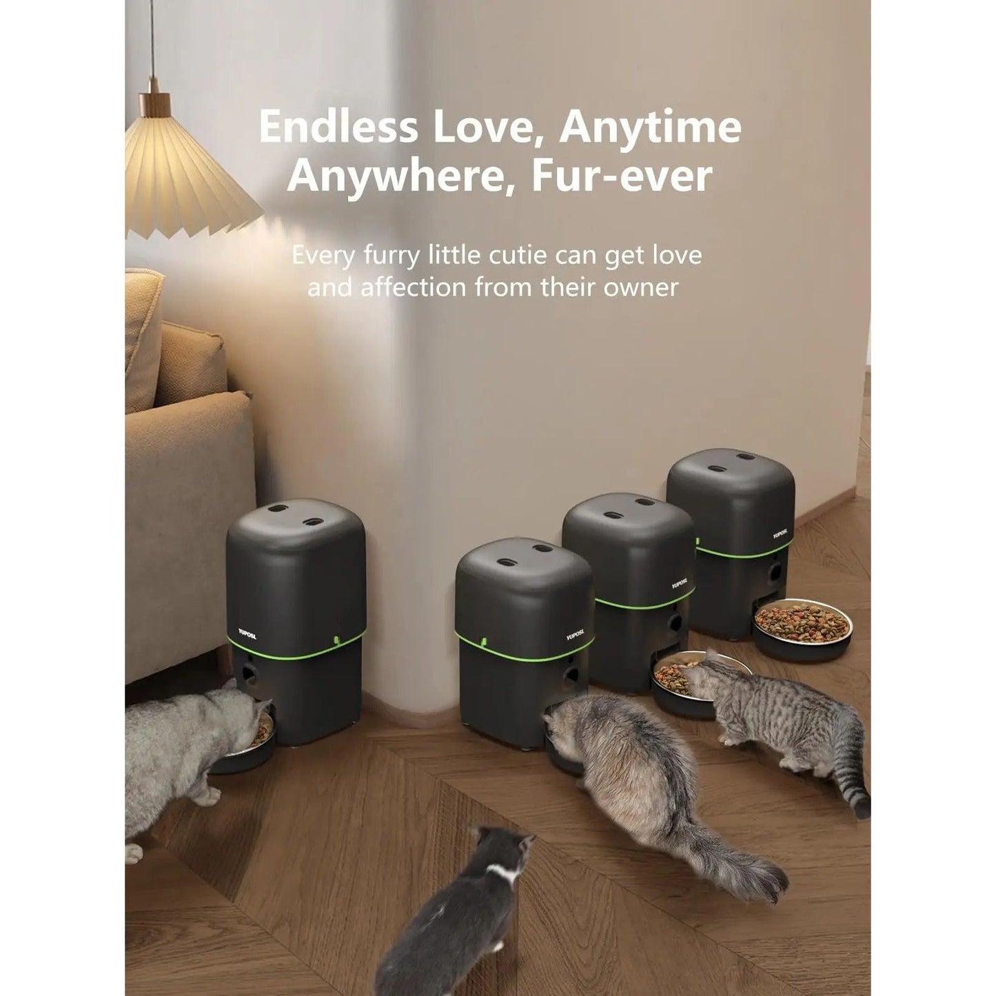 Automatic cat feeder