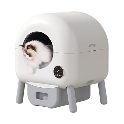 Automatic cat litter