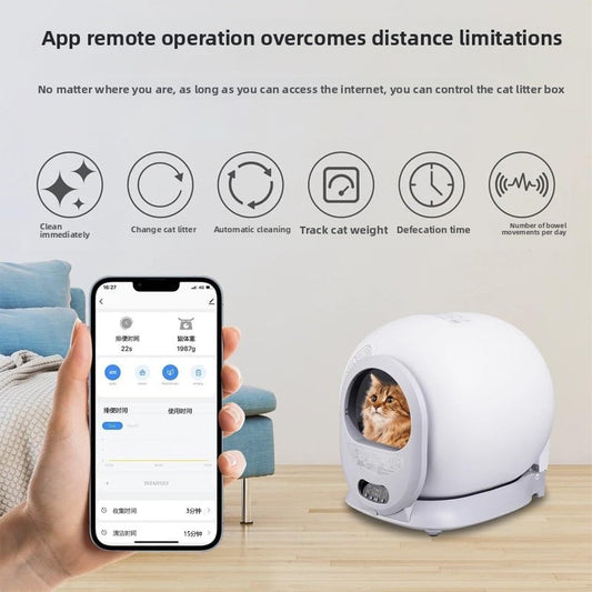 automatic cat litter