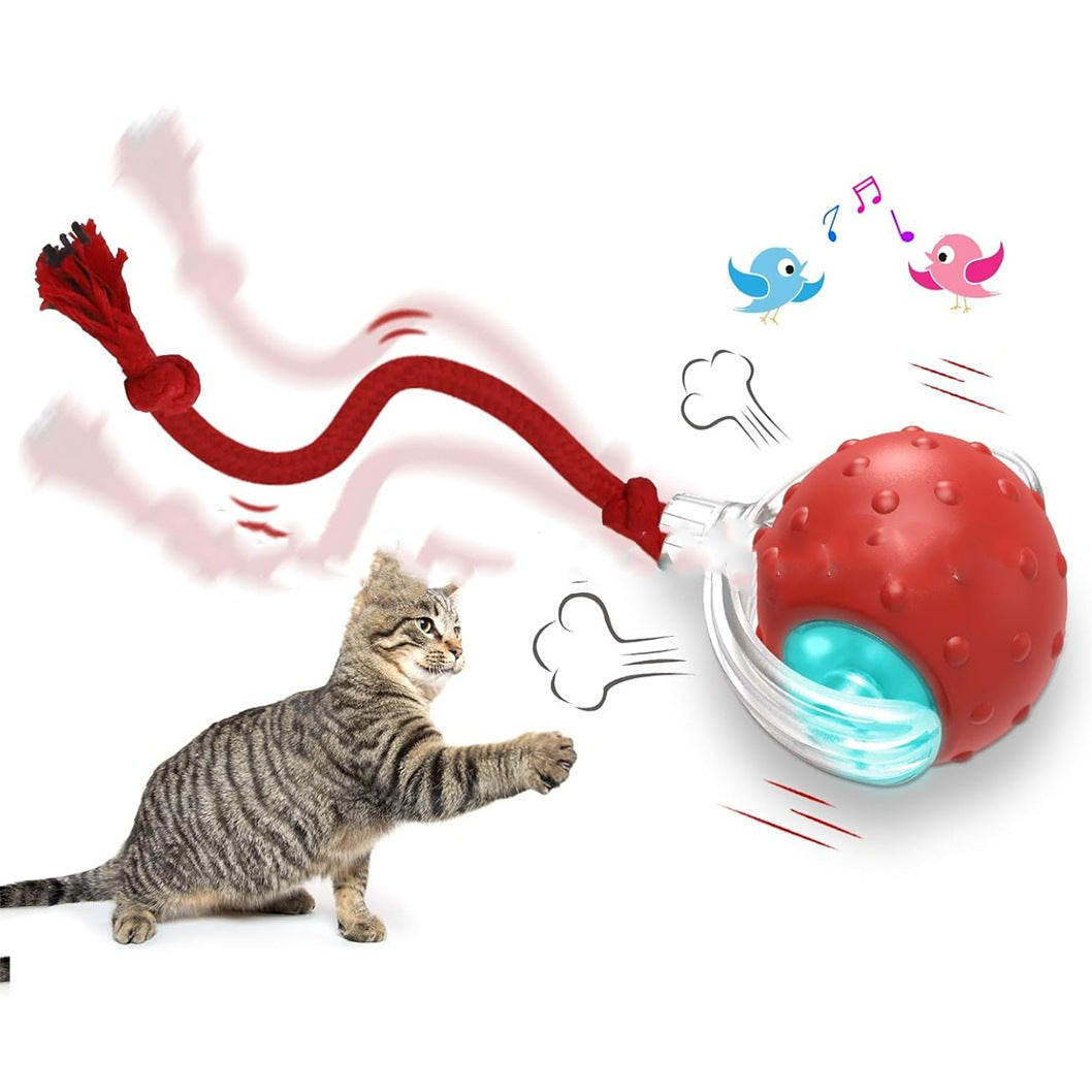 Automatic Cat Teaser Ball