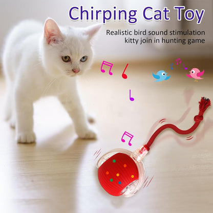 Automatic Cat Teaser Ball