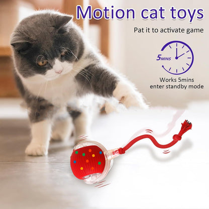 Automatic Cat Teaser Ball