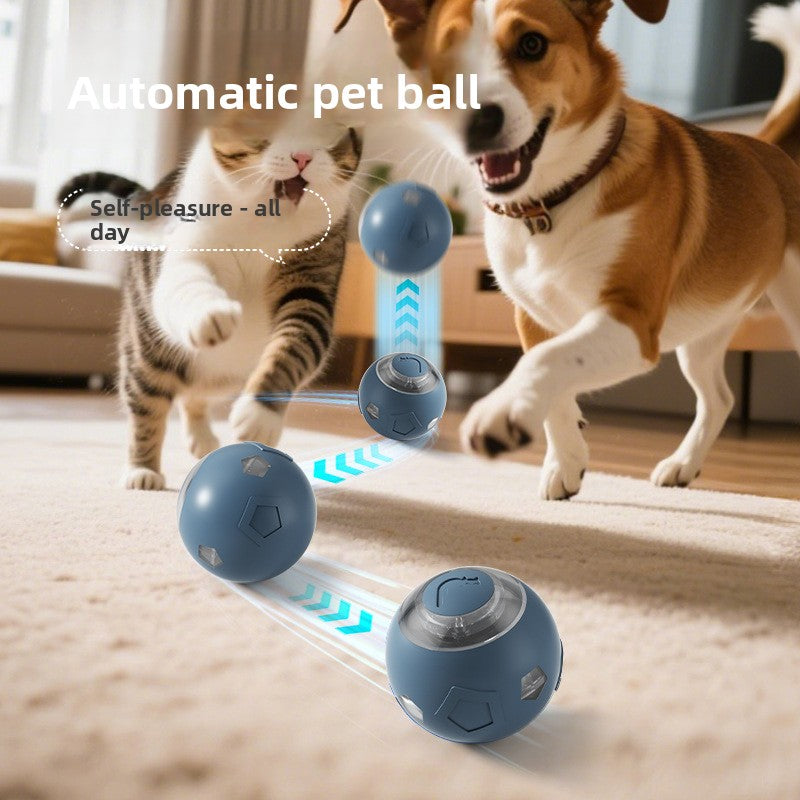 Automatic cat teasing ball