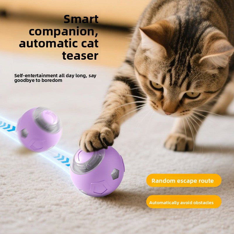 Automatic cat teasing ball