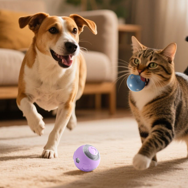 Automatic cat teasing ball
