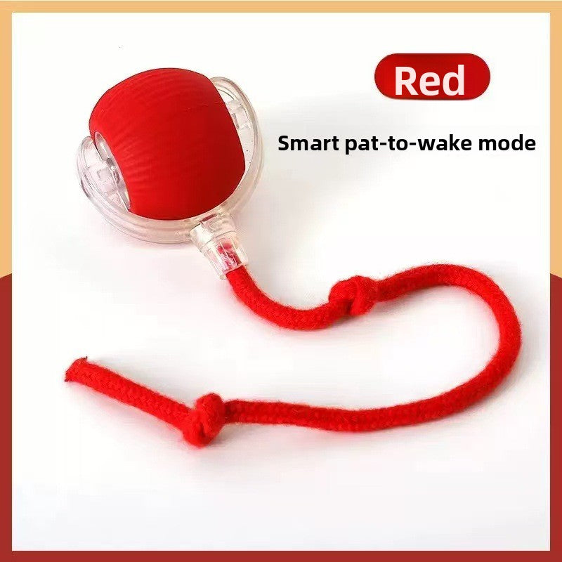 Automatic Cat Teasing Ball Toy