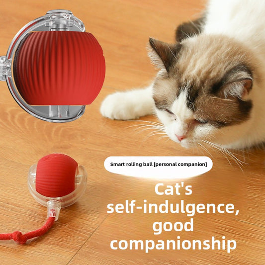 Automatic Cat Toy Ball