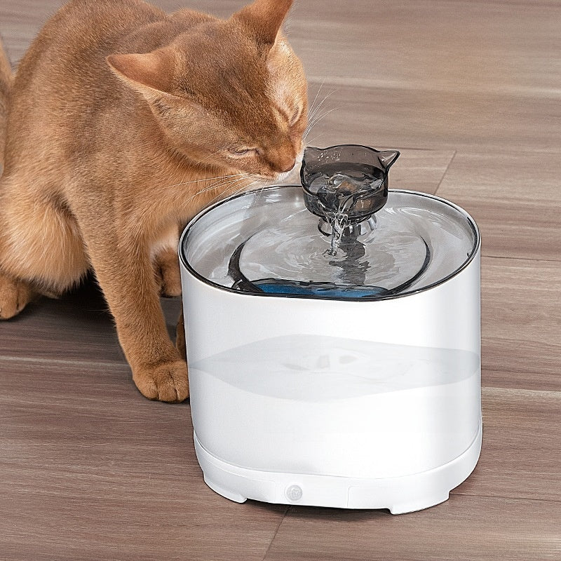 Automatic Circulating Pet Water Dispenser with Wireless Charging