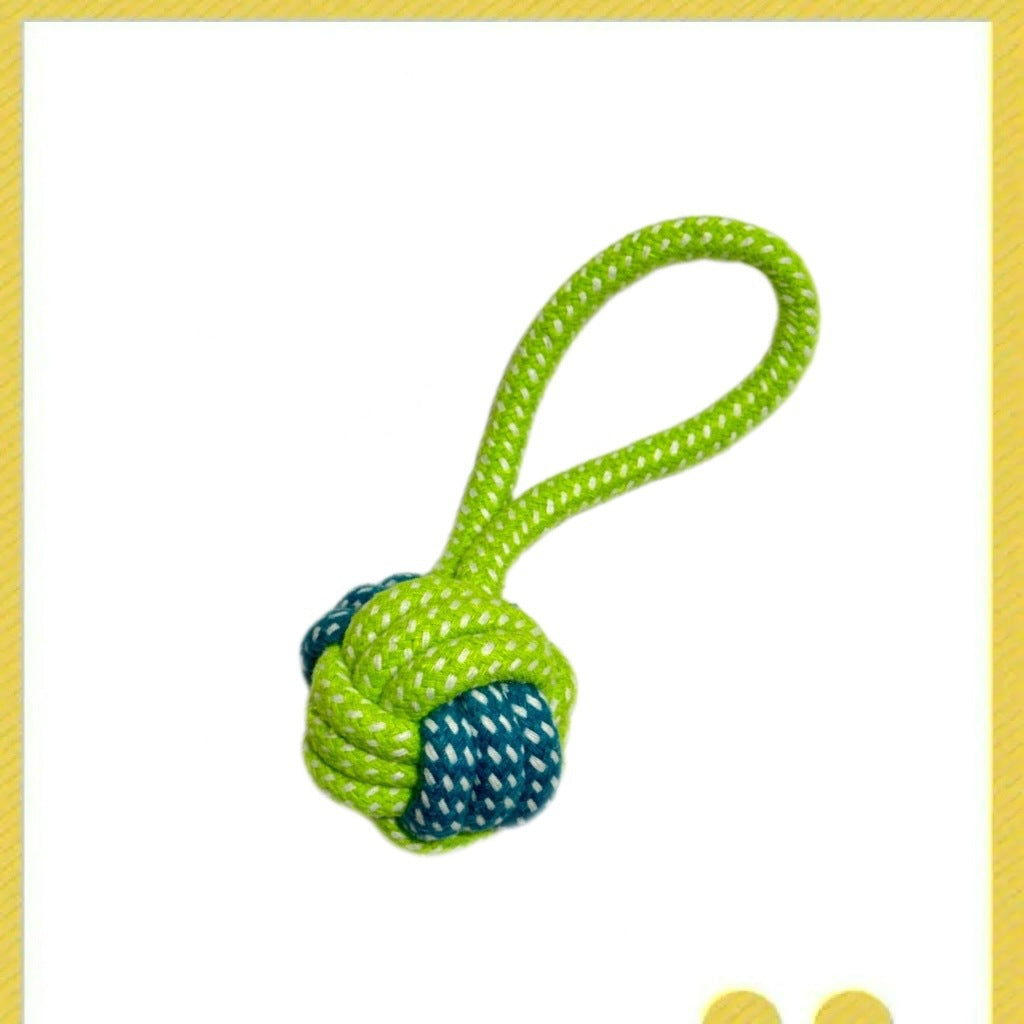 Automatic Dog Chew Toy Set