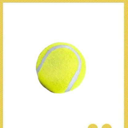 Automatic Dog Chew Toy Set