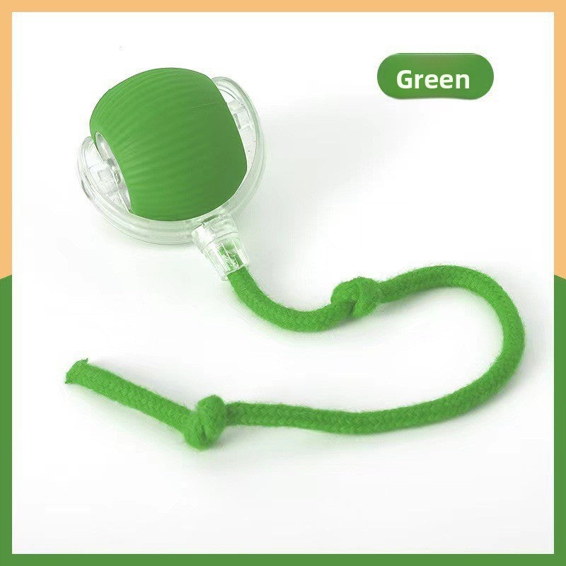 Automatic dog walking ball/dog toy ball