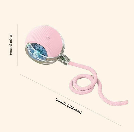 Automatic Dog Walking Ball