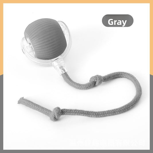 Automatic Dog Walking Ball