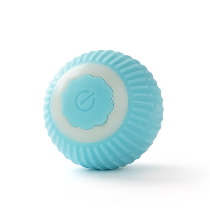 Automatic Dog Walking Ball