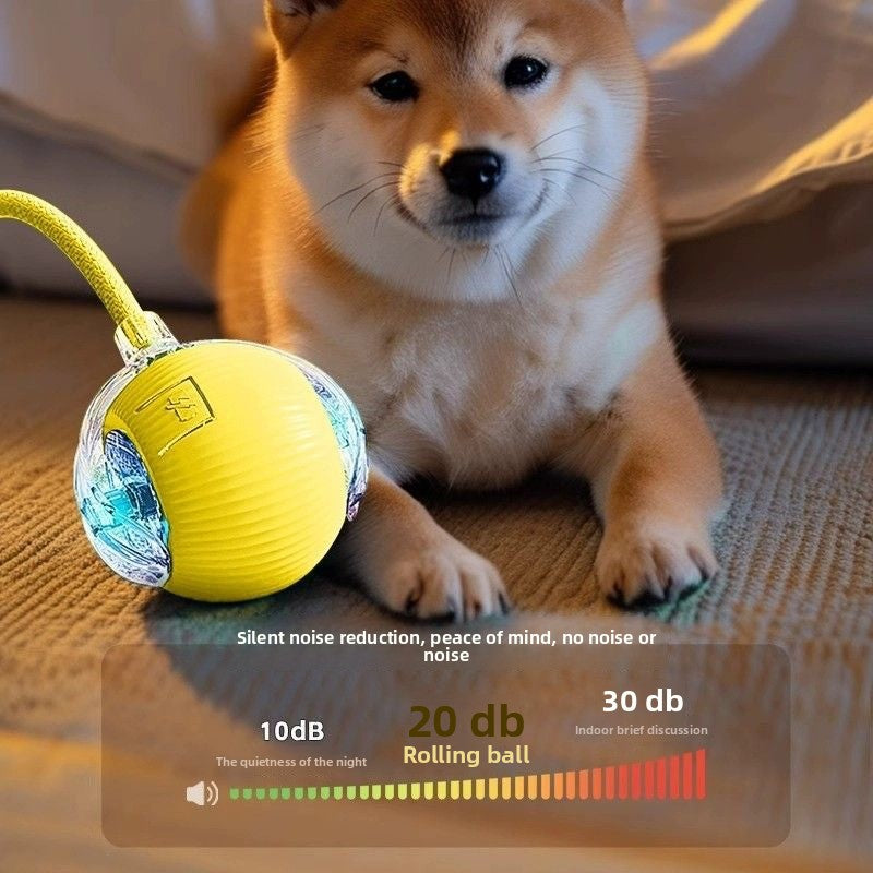 Automatic Dog Walking Ball