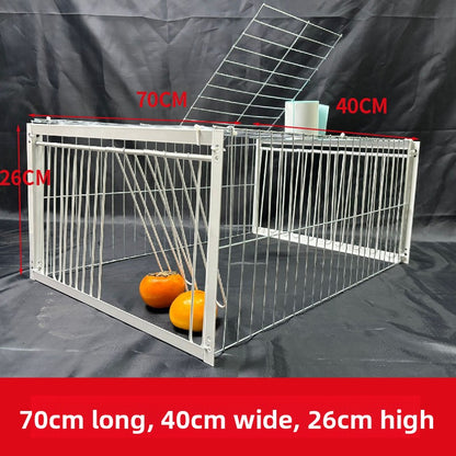Automatic Door Pigeon Cage