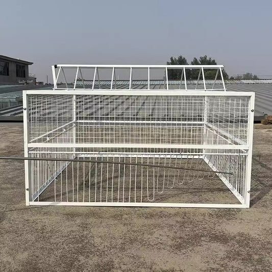 Automatic Door Pigeon Cage