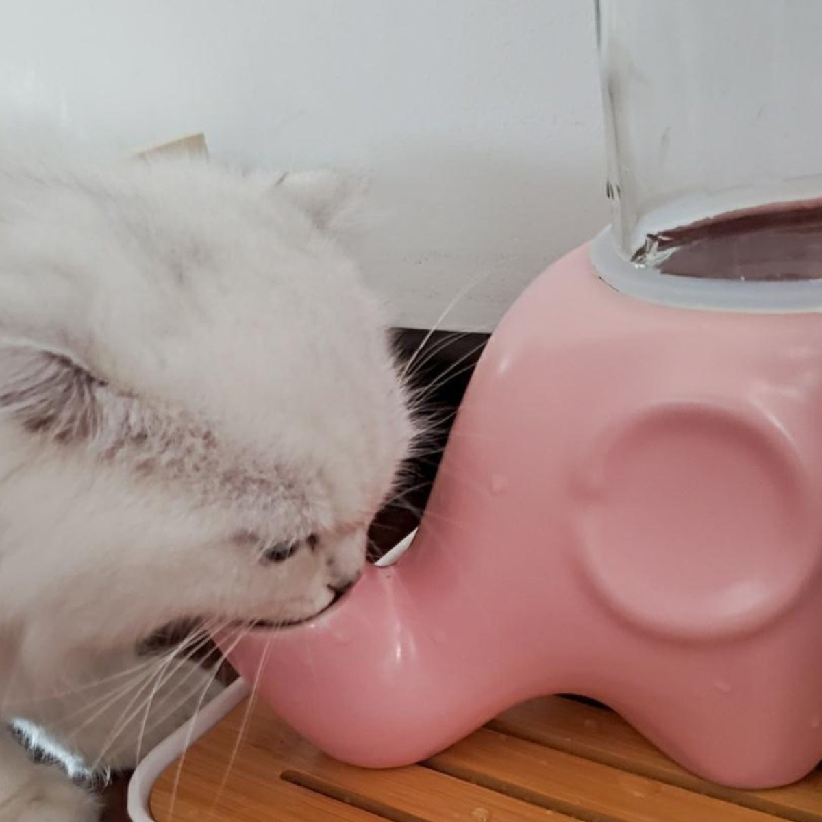 Automatic drinking fountain