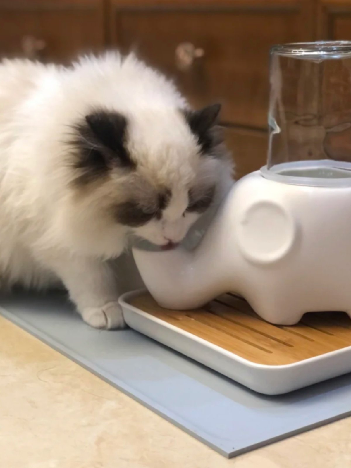 Automatic drinking fountain