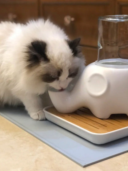 Automatic drinking fountain