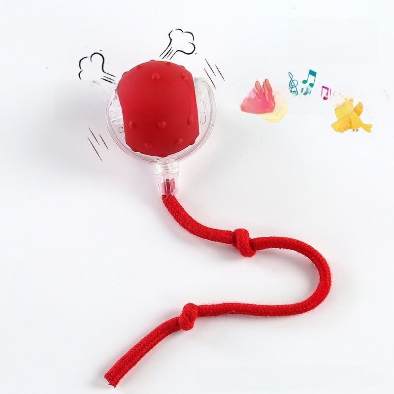 Automatic Electric Dog Toy Ball