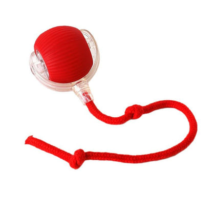 Automatic Electric Dog Toy Ball